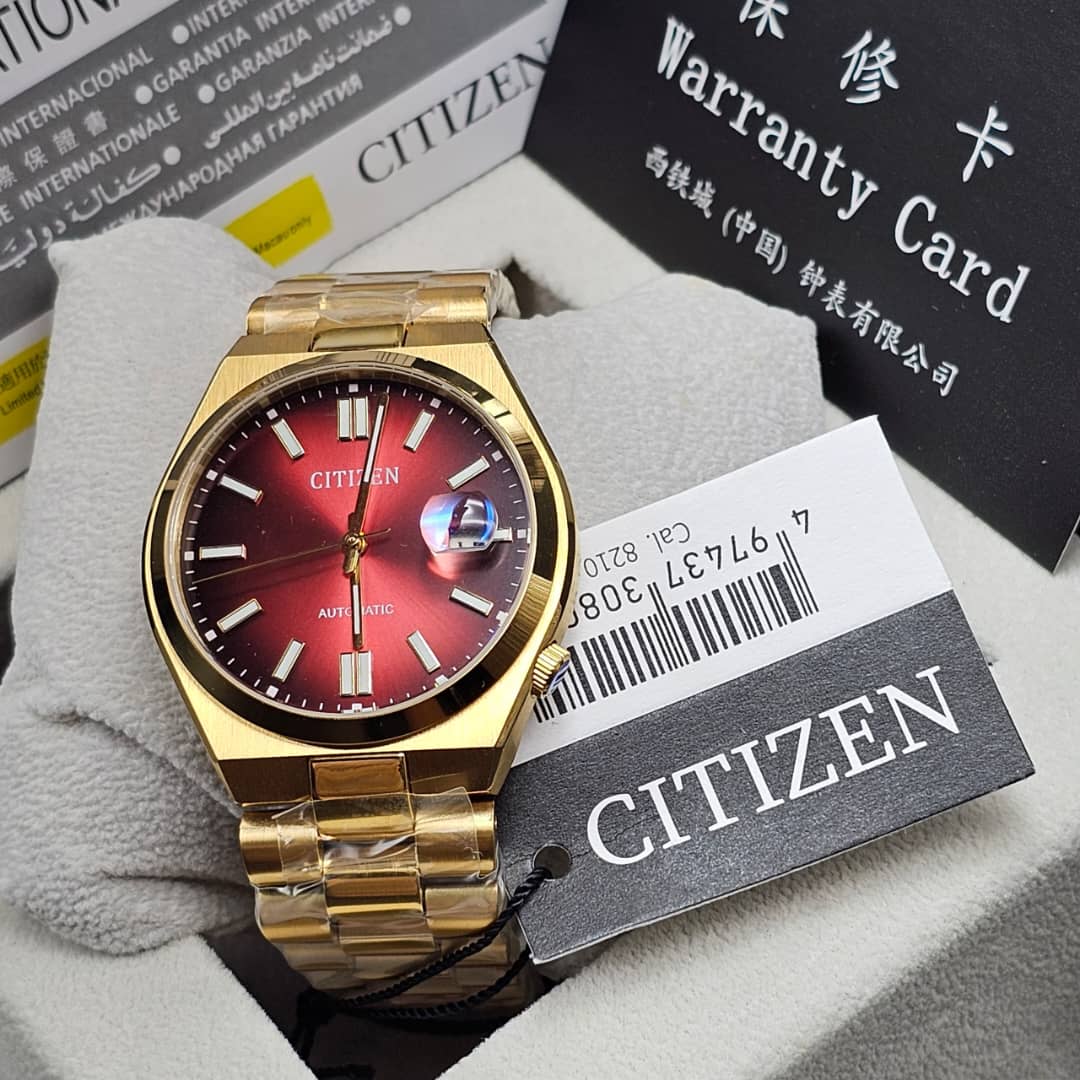 Citizen Classic Dial Watch