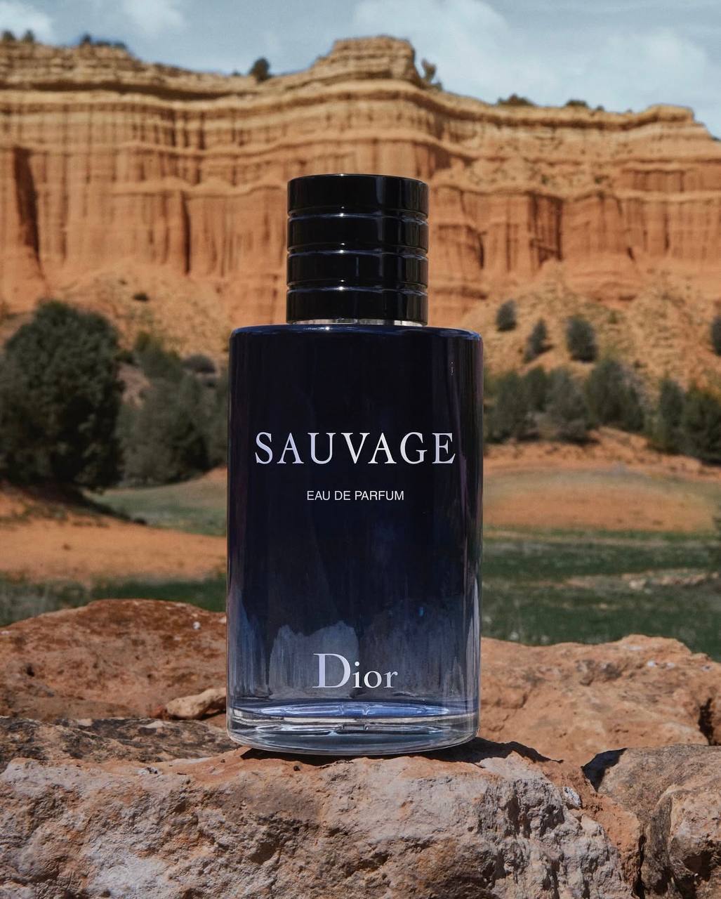 Dior Sauvage Eau de Parfum 100ml