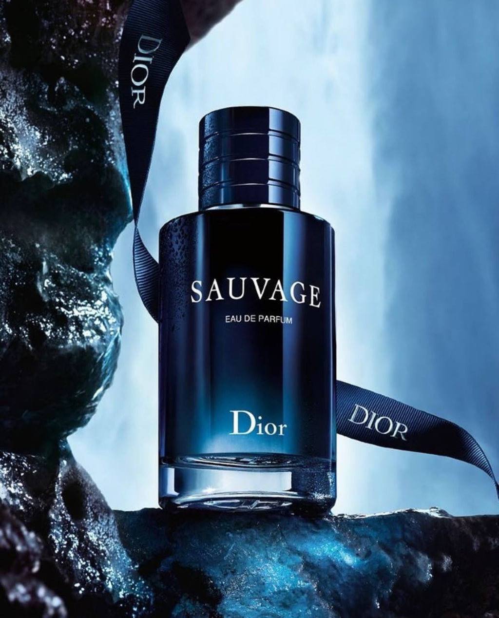 Dior Sauvage Eau de Parfum 100ml