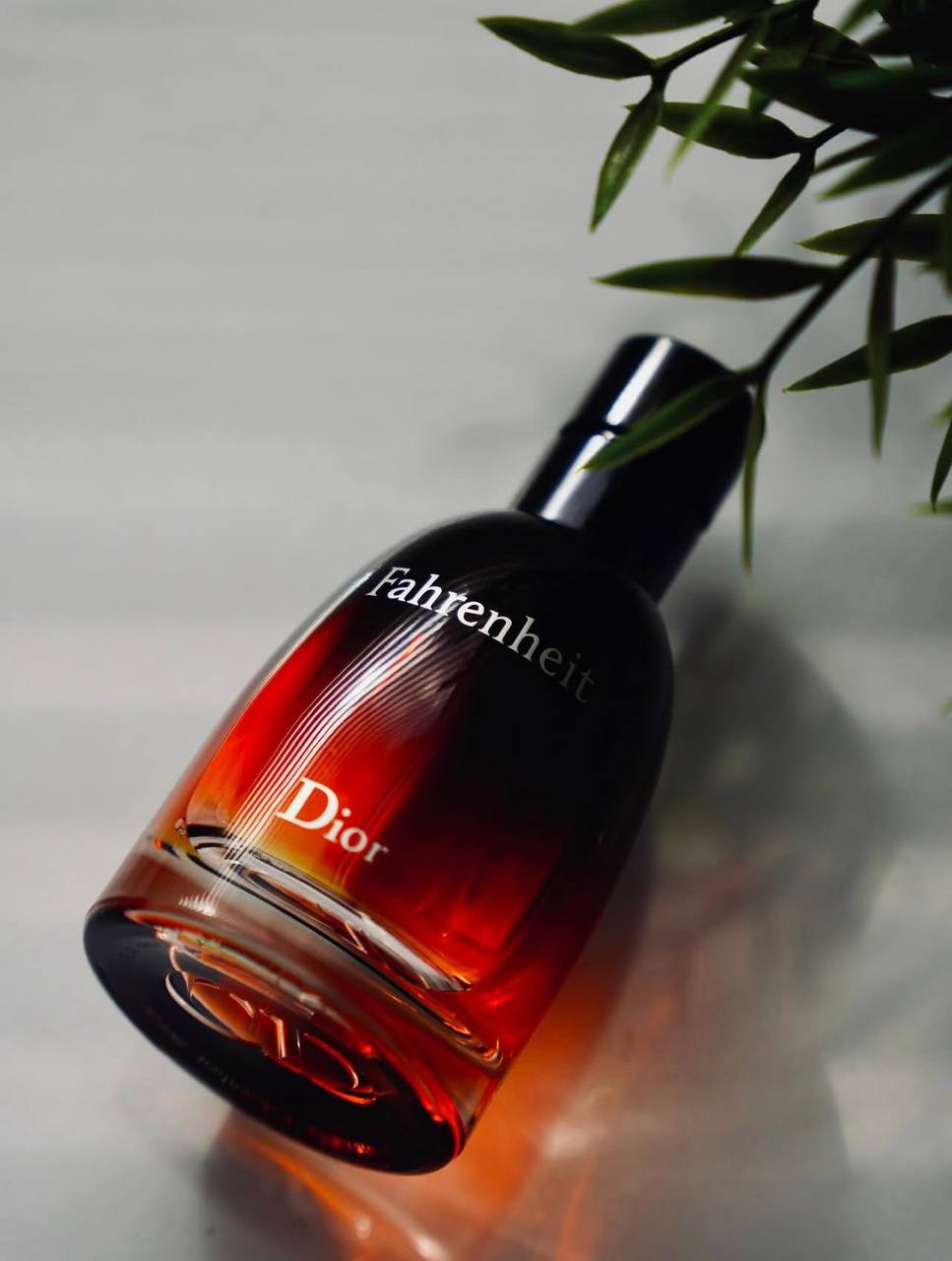 Dior Fahrenheit Eau de Toilette 100 ml