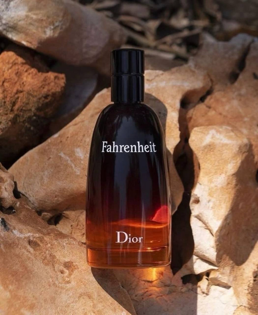 Dior Fahrenheit Eau de Toilette 100 ml